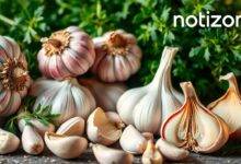beneficios del ajo
