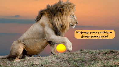 Mentalidad de león: Cómo pensar y actuar como un líder imparable